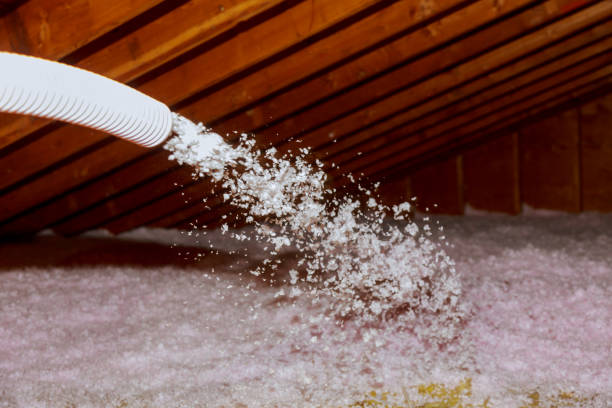 Best Insulation Contractors for Homes  in USA